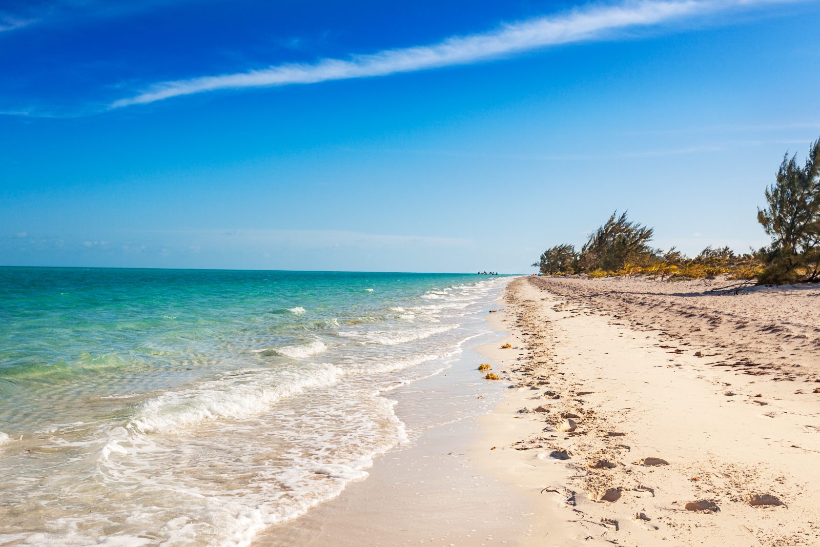Long Bay, Providenciales, turquoise shallows breaking onto white sand with casuarina trees along the dune line